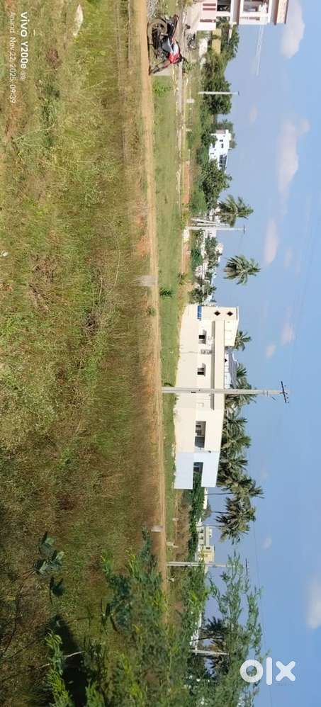 Open plot sized 166.6 sq yrds