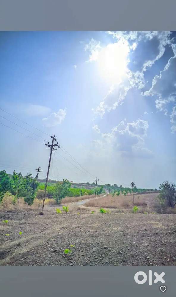 शेत विकणे आहे, पोपटखेड, अकोट