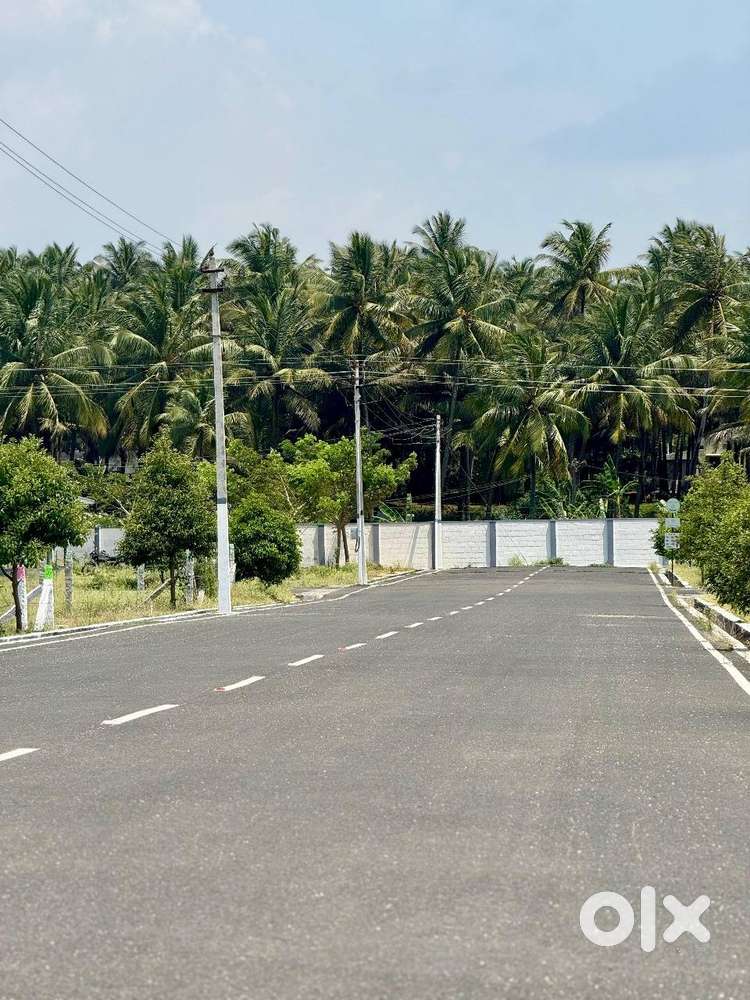 DTCP APPROVED PLOTS AND VILLAS FOR SALE NEAR PALAKKAD BYPASS ROAD