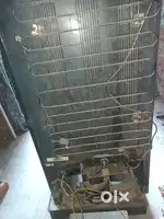 Freez badiya hai need for mony help