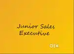 Junior Sales Executive (ஜூனியர் சேல்ஸ் எக்ஸிகியூட்டிவ்)