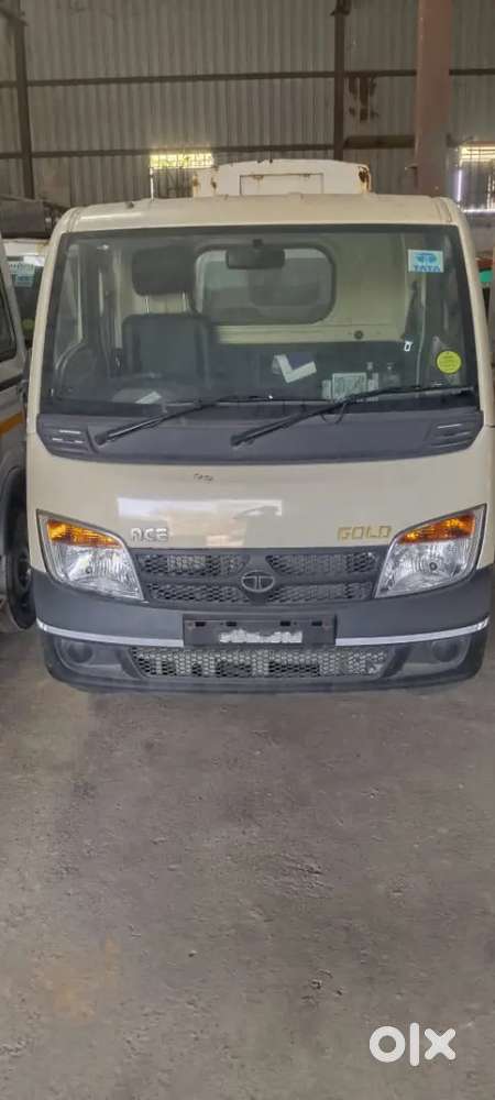 Tata ace gold petrol