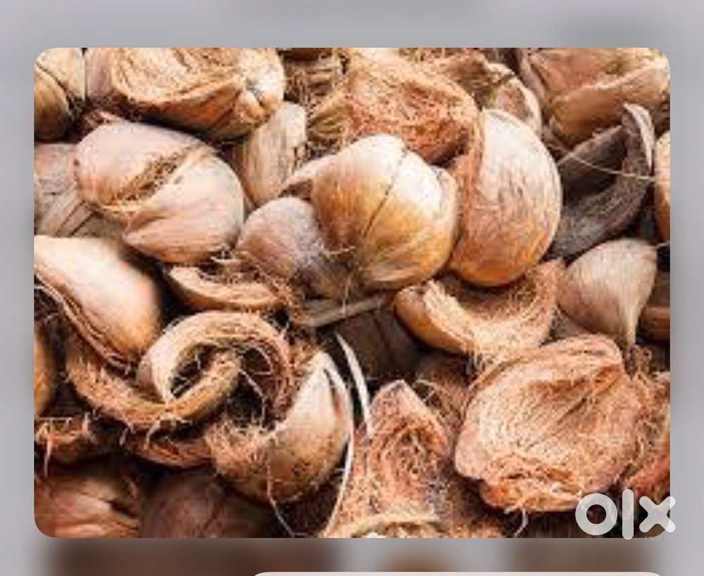 COCUNUT FIBER FULL