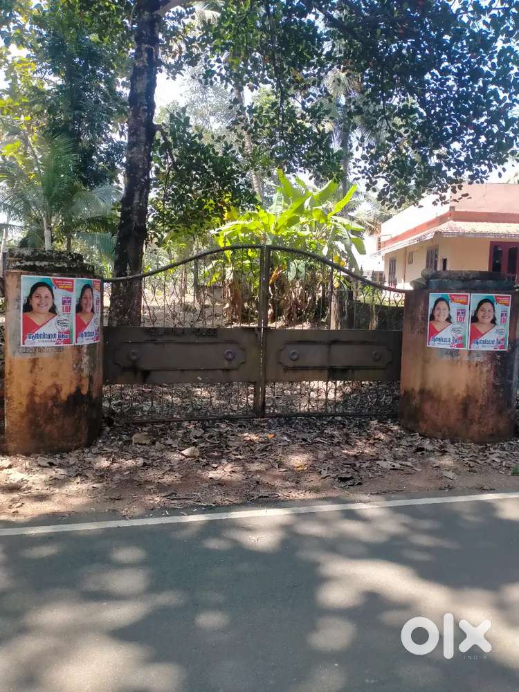 കൊട്ടാരക്കര MC റോഡിൽ നിന്നും 500m മാറി തൃക്കണ്ണമംഗലിൽ 18 സെൻ്റ് സ്ഥലം