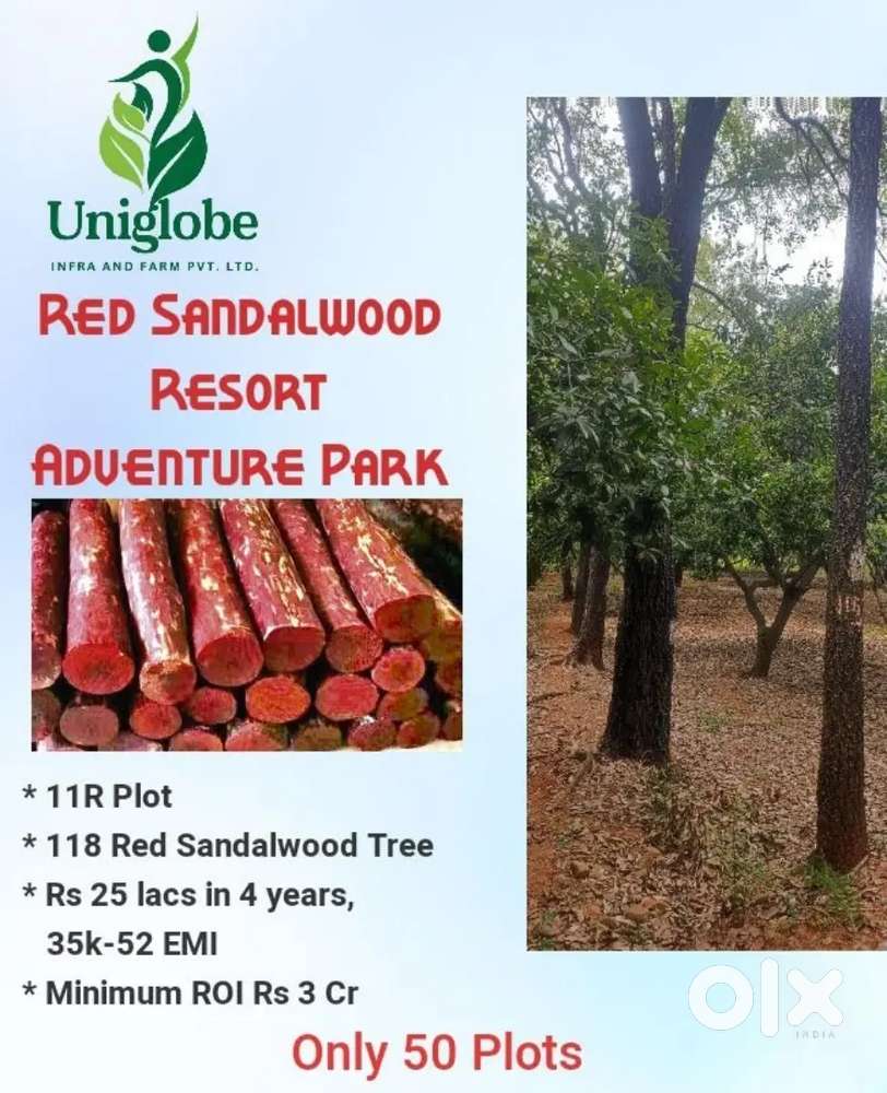 Farming And Resort with Adventure Park