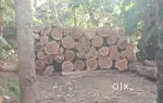 Teakwood for sale.