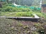 Varode dream land