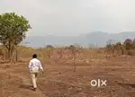 SARALGAON MURBAD LOCATION-70GHUNTAS AGRICULTURE LAND FOR SALE