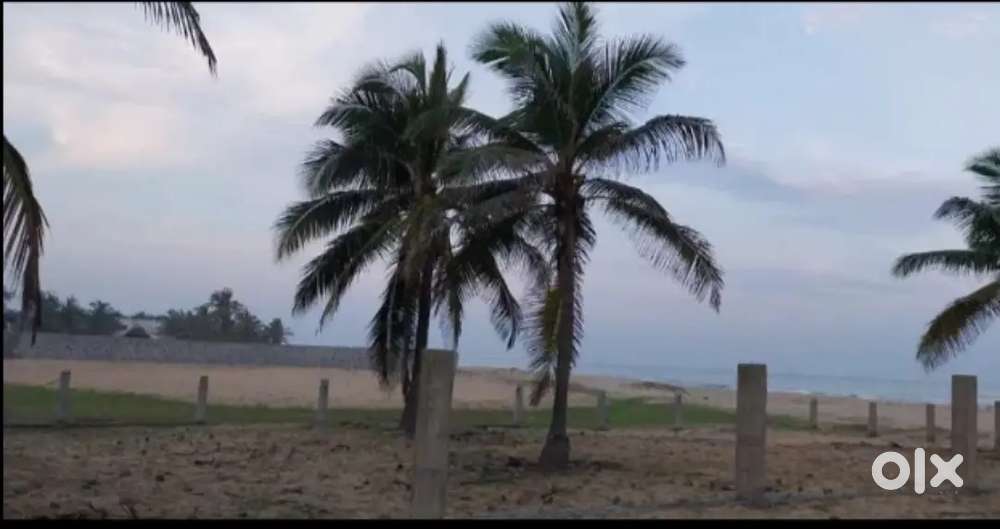 Direct beach facing plot near marakanam