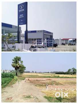 Tata Motors didarganj ke opposite Mahendra School Road me Plot