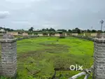 Agri land for sale