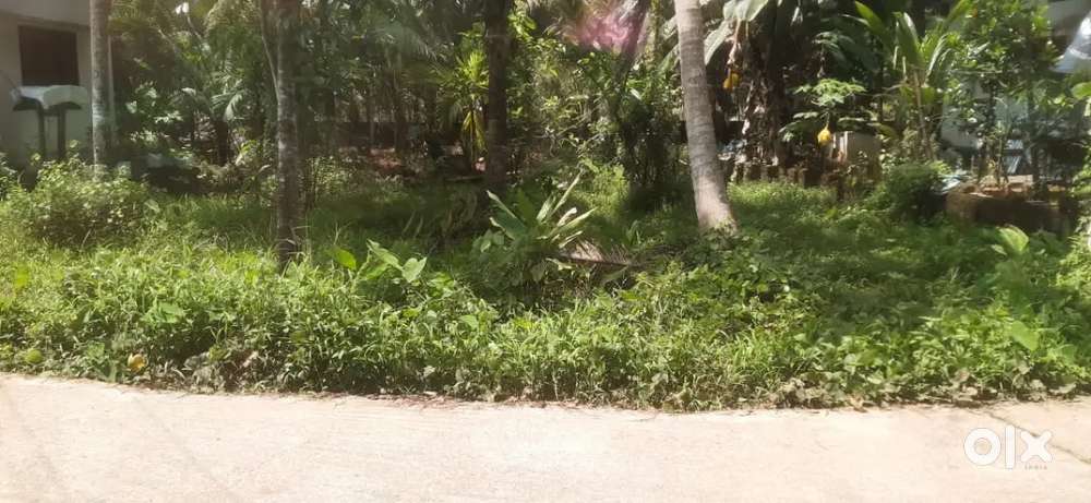 4 cent plot for sale