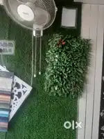 Shop for Rent in DD Puram