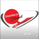 Front Office , Customer supporting