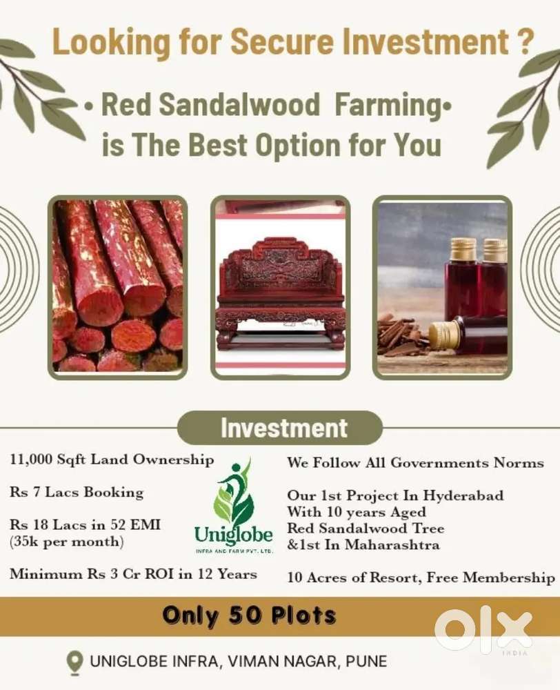 Farming Red Sandalwood