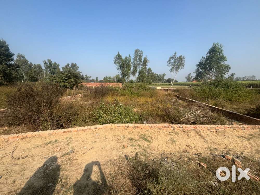 Urgent 2 Plots For sale in Gajraula