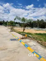- All Round Layout compound wall with  Entrance Arch. - Well planned C