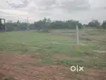 Vepampattu DTCP LAND SALE