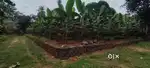POOVARANY NEAR CHURCH 34 CENT 2 SIDE ROAD FRENDAGE