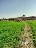 Kheti ke jameen