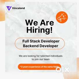 Full Stack Developers and Back End Developers