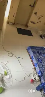 Need  room partner