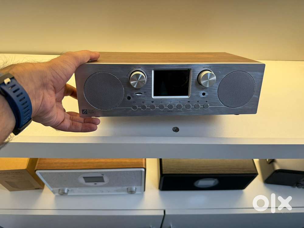 Ocen digital MA-800F brand boxWooden Cabinet Internet Radio with FM TF