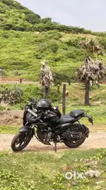 Xtreme 125r xpluse