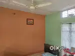 Need roommate