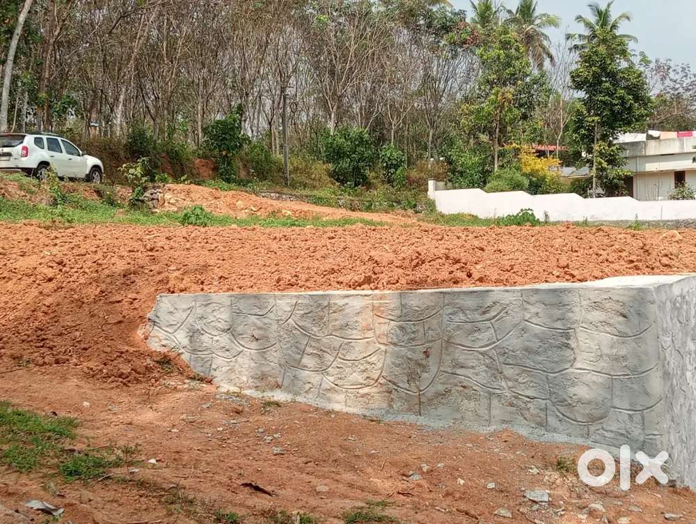 Housing plots of 43 cents and 42 cents for sale at parakode.