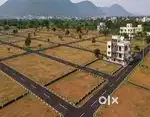 AGRICULTURAL LAND of10 biggha NEAR DADRI TOLL PLAZA