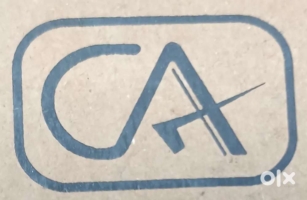 Accountant & audit assistant