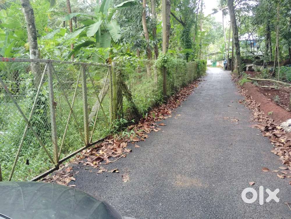 7.250cent  , 3lack per cent negotiable