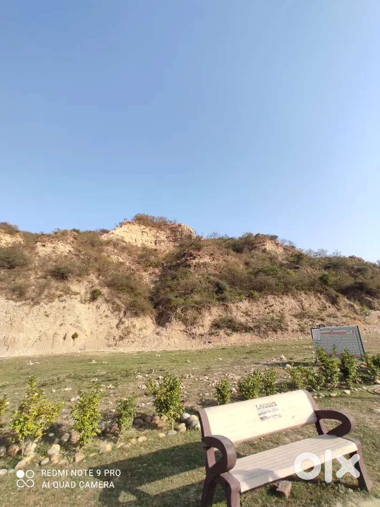 Need girl Punjabi University near hotel reception entry