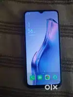 Oppo katis