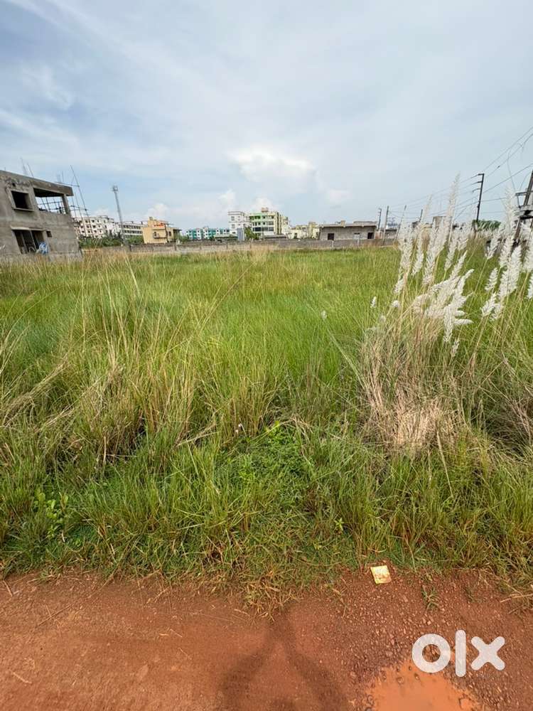 Sale plot at kuha sunderpada good location around the plot houses are