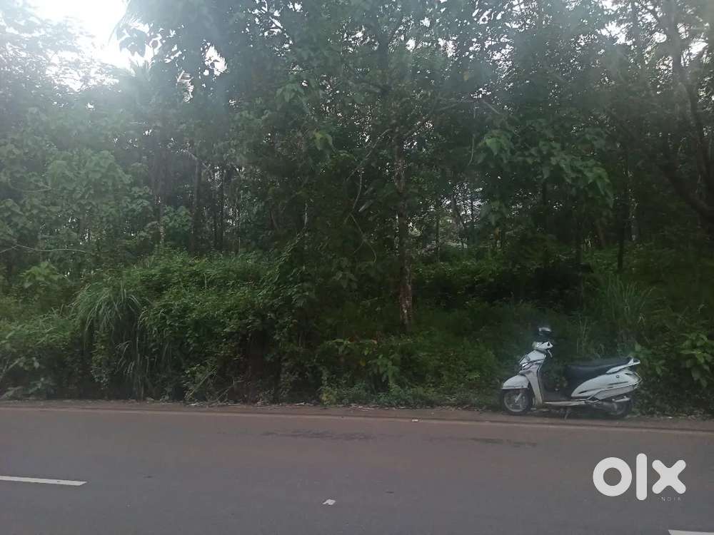 Resident plot for sale near malayora highway