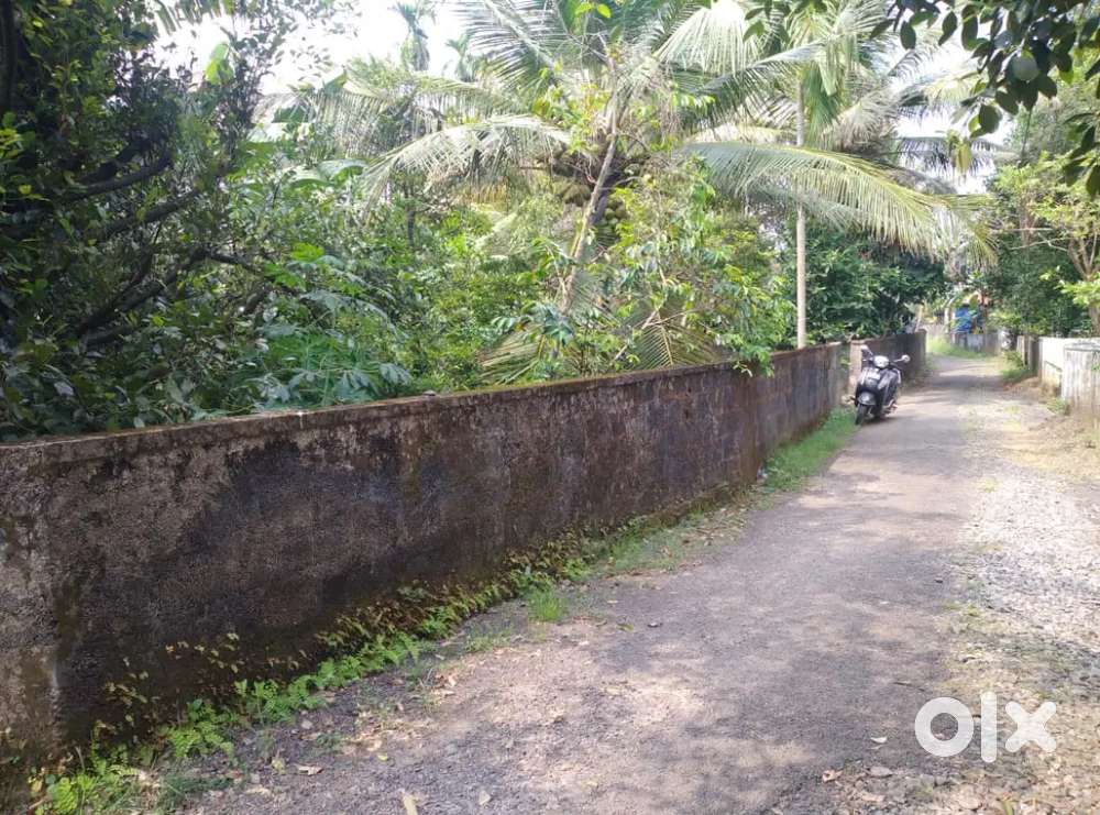 7 cent tar road original land Aluva Cochin airport road desom purayar