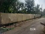 Puliyoor ala chengannur road, near Ayurveda hospital