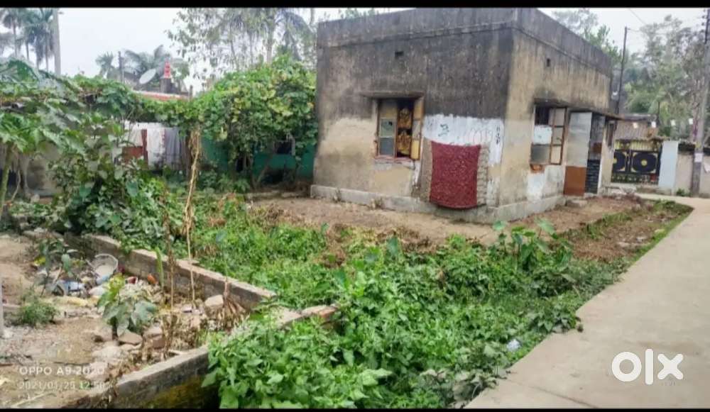 Subhash gram house sell in cash