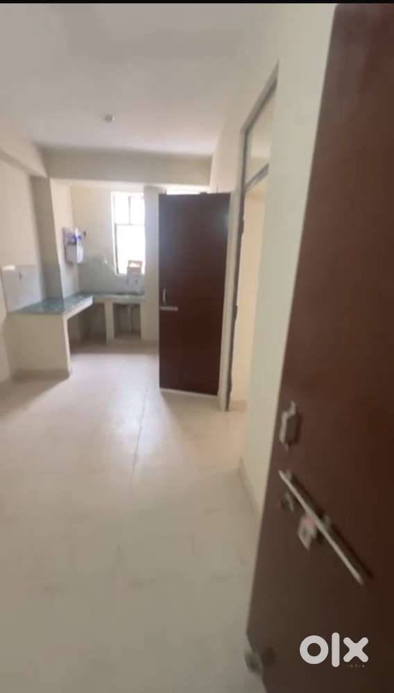 1 bhk flat on rent
