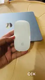 Apple mouse