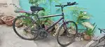 Mach City Cycle