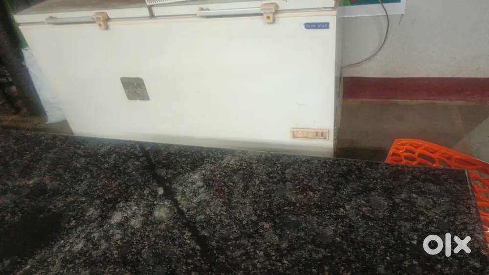 Deep fridge 500 ltr blue star