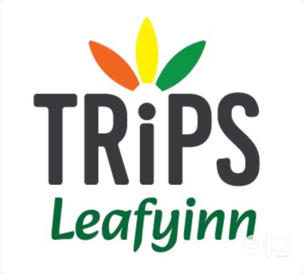 Travel sales executive