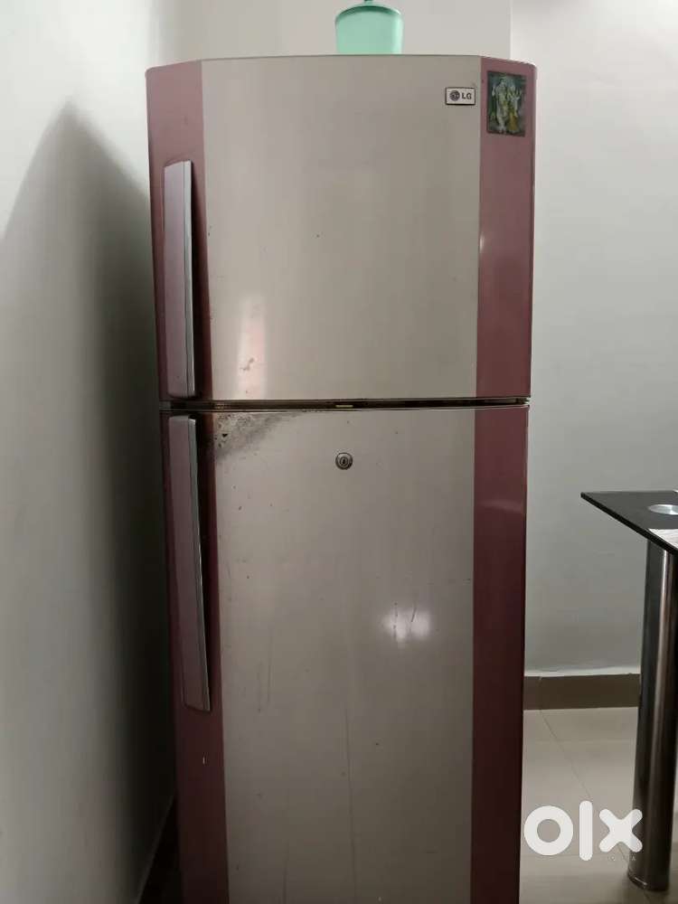 LG dubal door