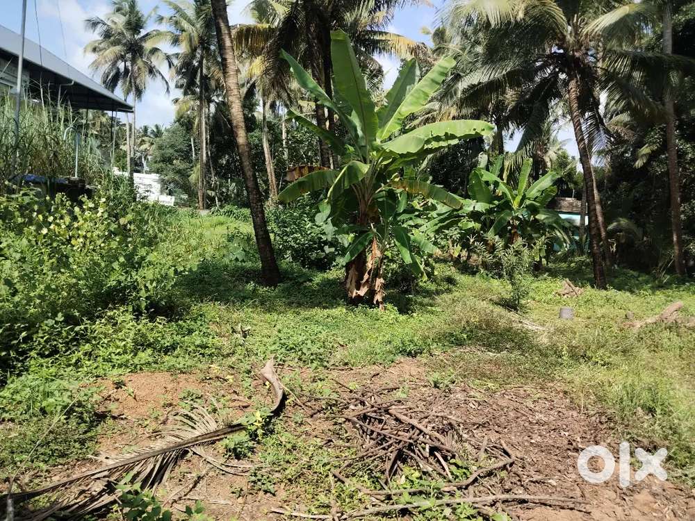 Thrissur East Fort near kizhakkumpatukara 14 cent plot for sale