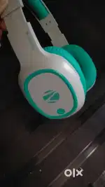 Zebronic headphones