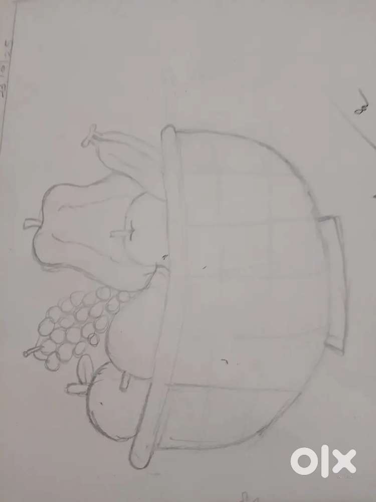 Fruit basket