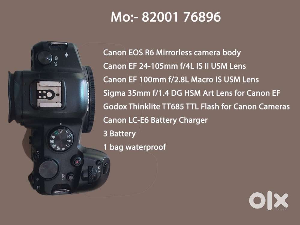 Canon EOS R6 full frame